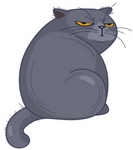 Avatar de l’utilisateur