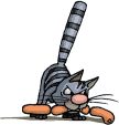 Avatar de l’utilisateur