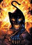 Avatar de l’utilisateur