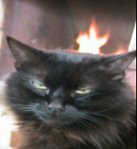 Avatar de l’utilisateur