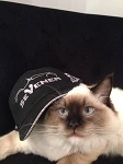 Avatar de l’utilisateur