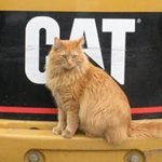 Avatar de l’utilisateur