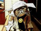 Avatar de l’utilisateur