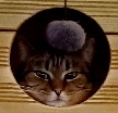 Avatar de l’utilisateur