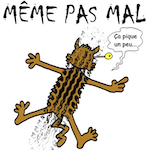 Avatar de l’utilisateur