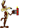 Coyote :bipbip: